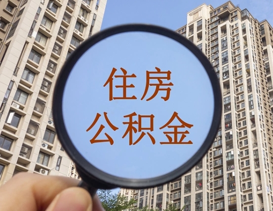 当阳退休后查不到公积金明细了吗（退休后公积金查询不到原因）